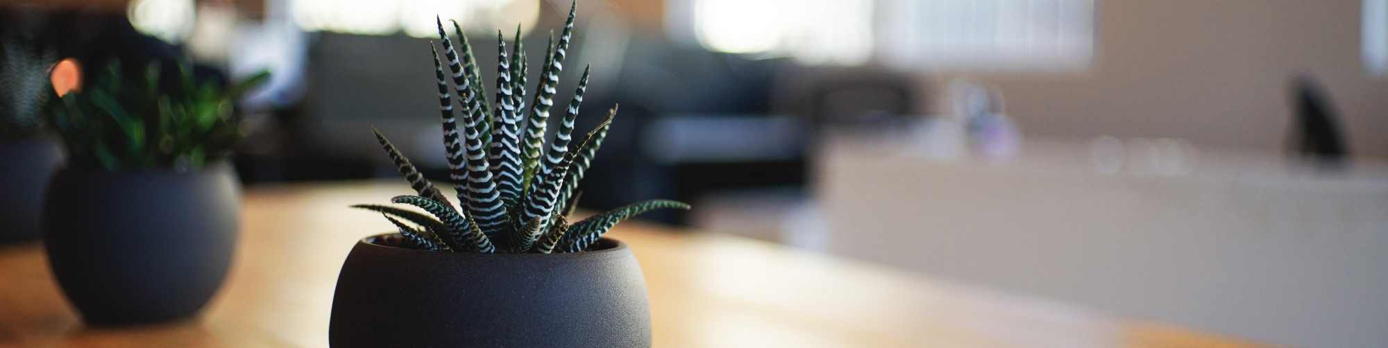 Vorstand-Header